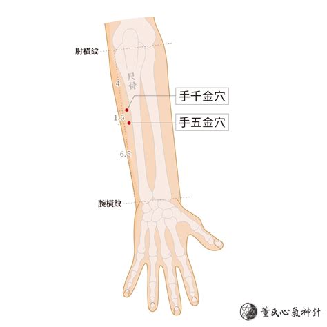 手千金穴|手五金穴、手千金穴 